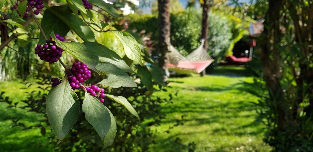 Aparthotel Gartenresidence Zea Curtis Merano